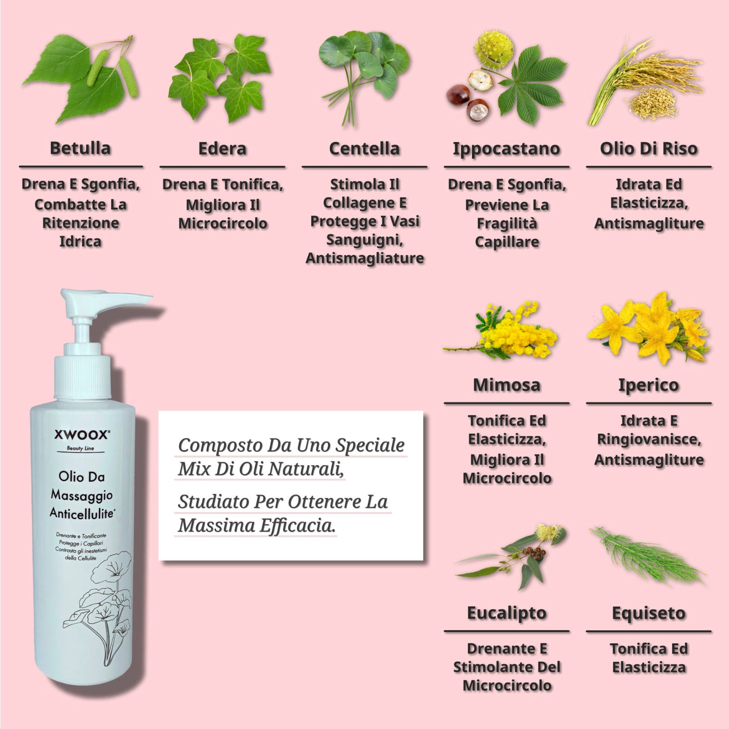 9 attivi botanici olio anticellulite XWOOX: betulla, edera, centella, ippocastano, olio di riso, mimosa, iperico, eucalipto, equiseto