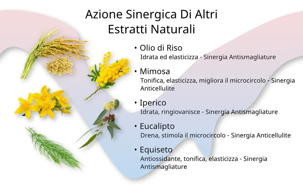 Azione sinergica degli estratti naturali dell'Olio XWOOX: olio di riso, mimosa, iperico, eucalipto ed equiseto