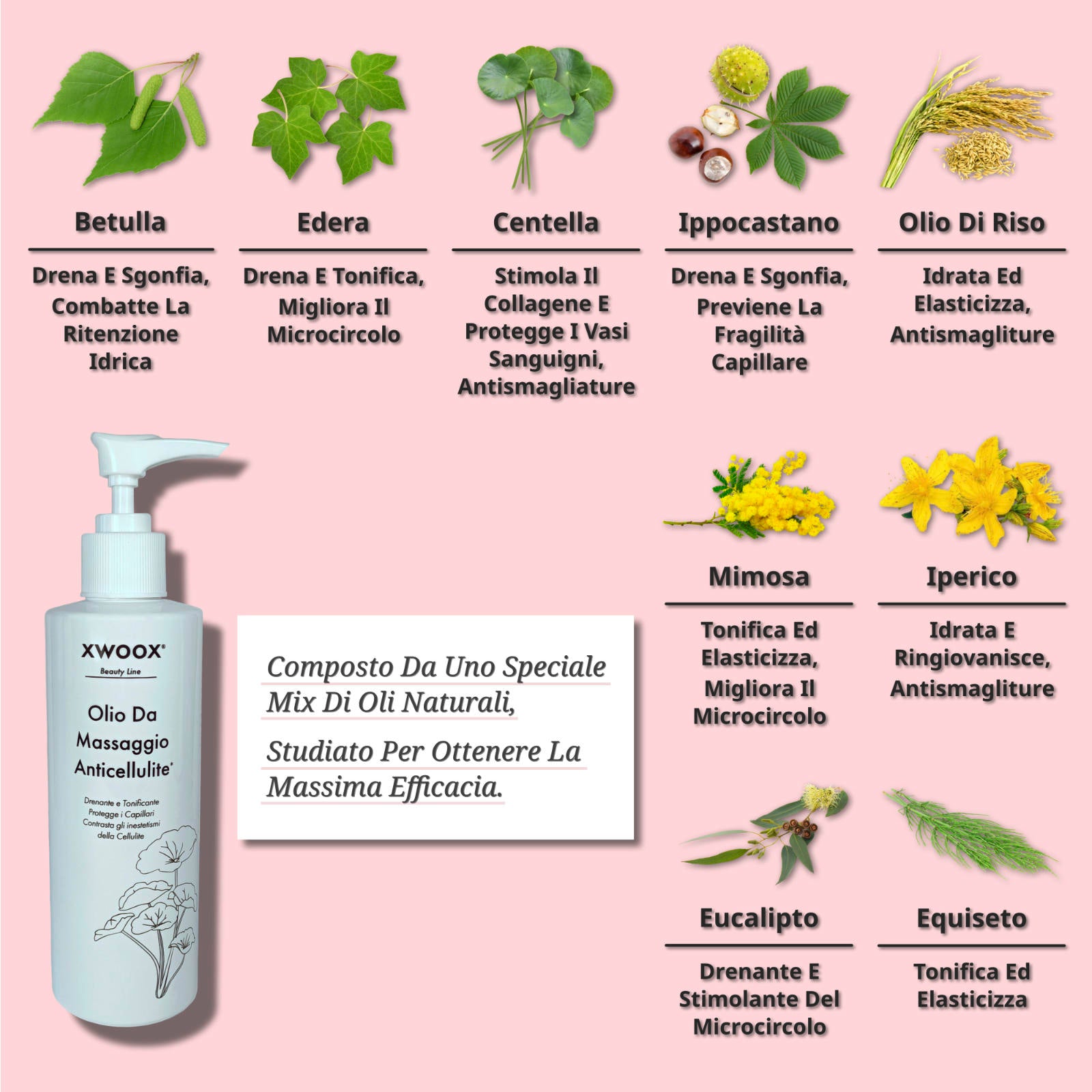 9 attivi botanici olio anticellulite XWOOX: betulla, edera, centella, ippocastano, olio di riso, mimosa, iperico, eucalipto, equiseto