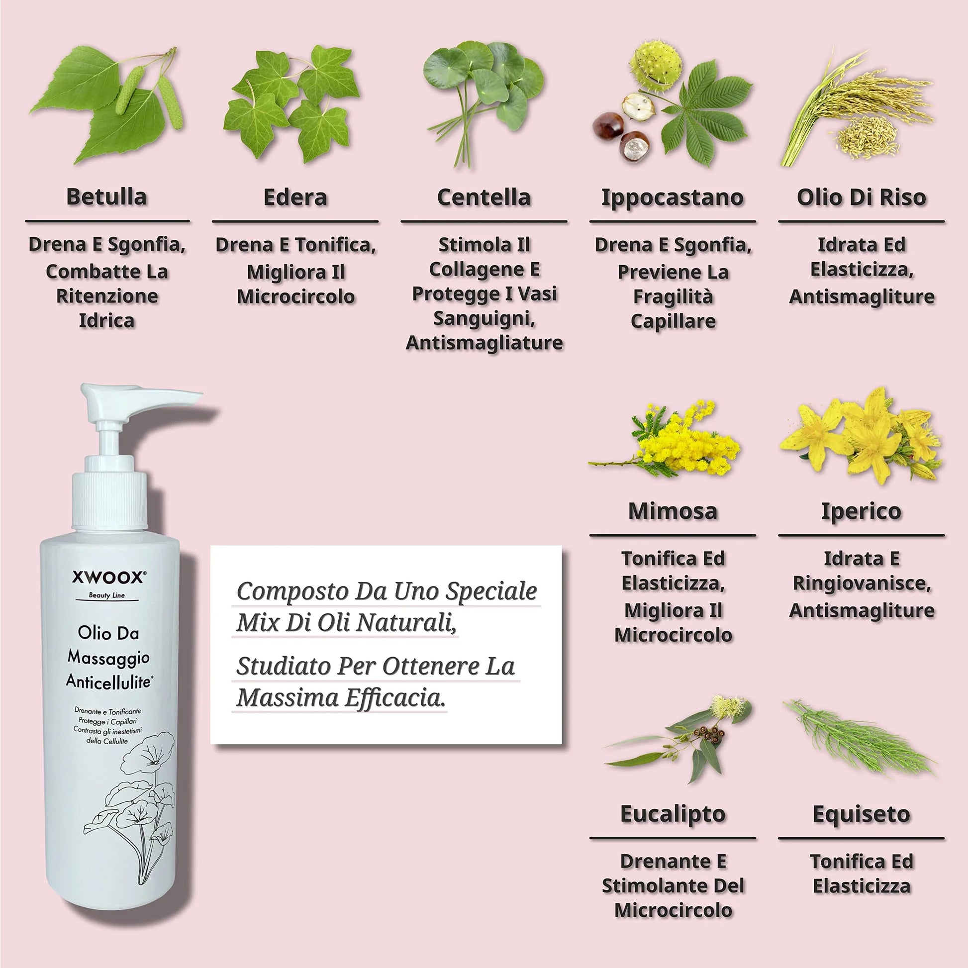 Ingredienti naturali dell'Olio Anticellulite XWOOX: betulla, edera, centella e ippocastano